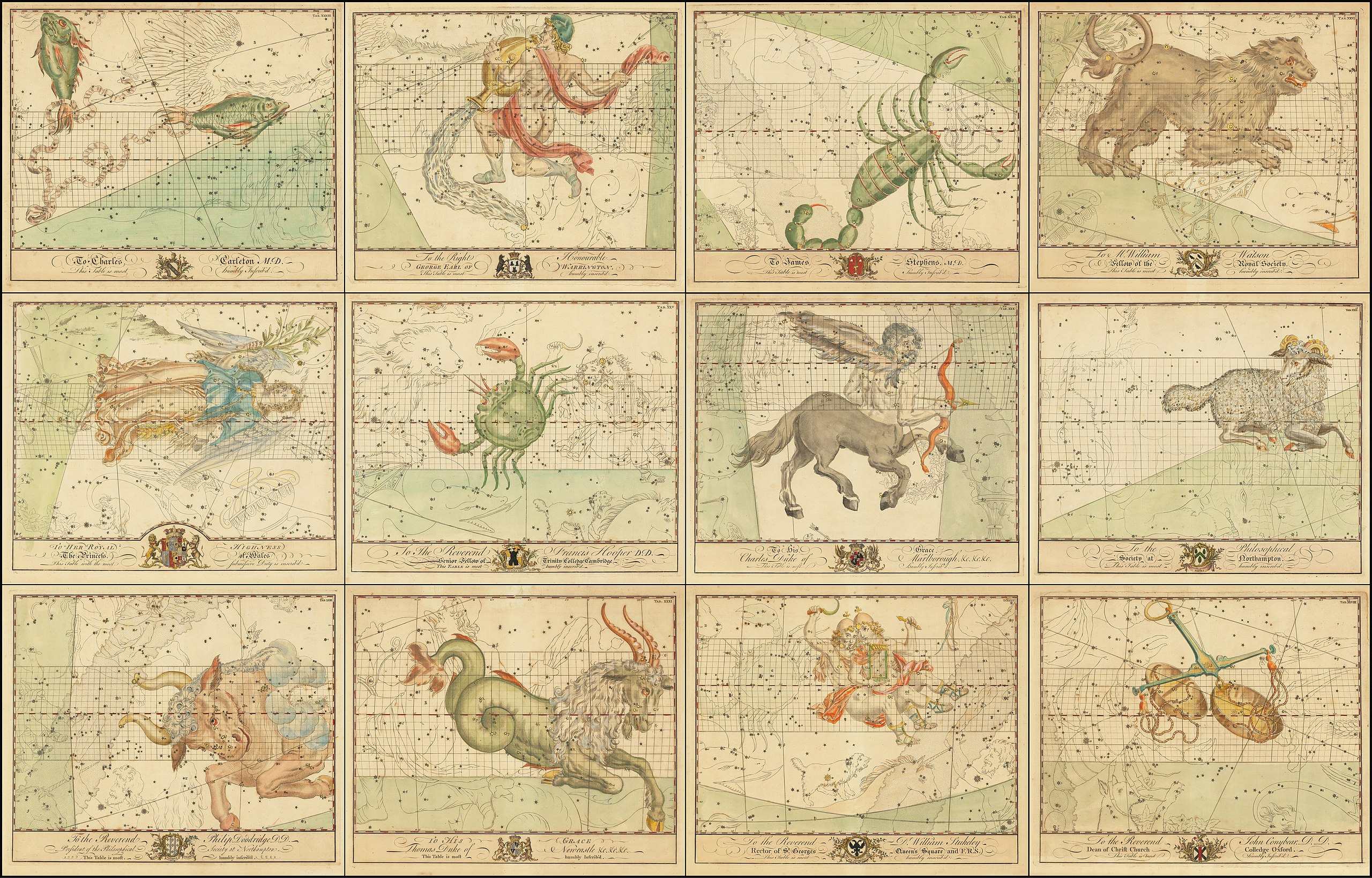 Exploring the Major Astrology Types: A Comprehensive Guide